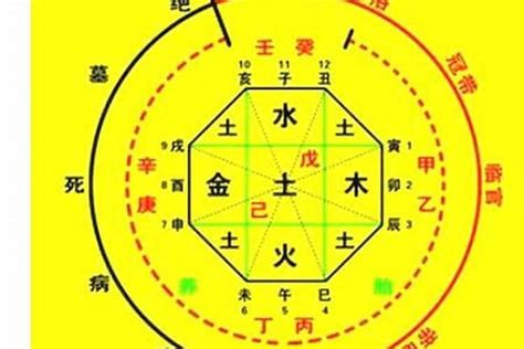 丁卯年五行|生辰八字算命、五行喜用神查询（免费测算）